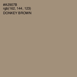 #A2907B - Donkey Brown Color Image